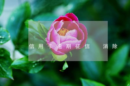 信用卡逾期征信 消除 信用卡逾期征信 消除